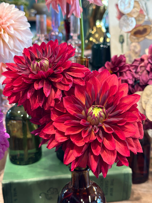 Bell’s King Crimson