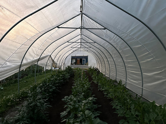 A tunnel full of cuttings