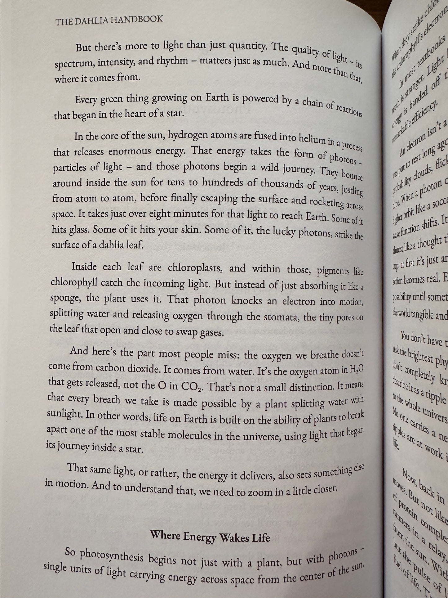 The Dahlia Handbook - First Edition